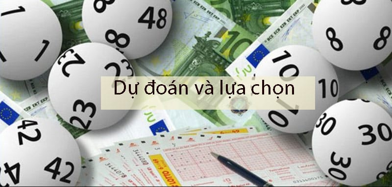 Dự đoán và lựa chọn